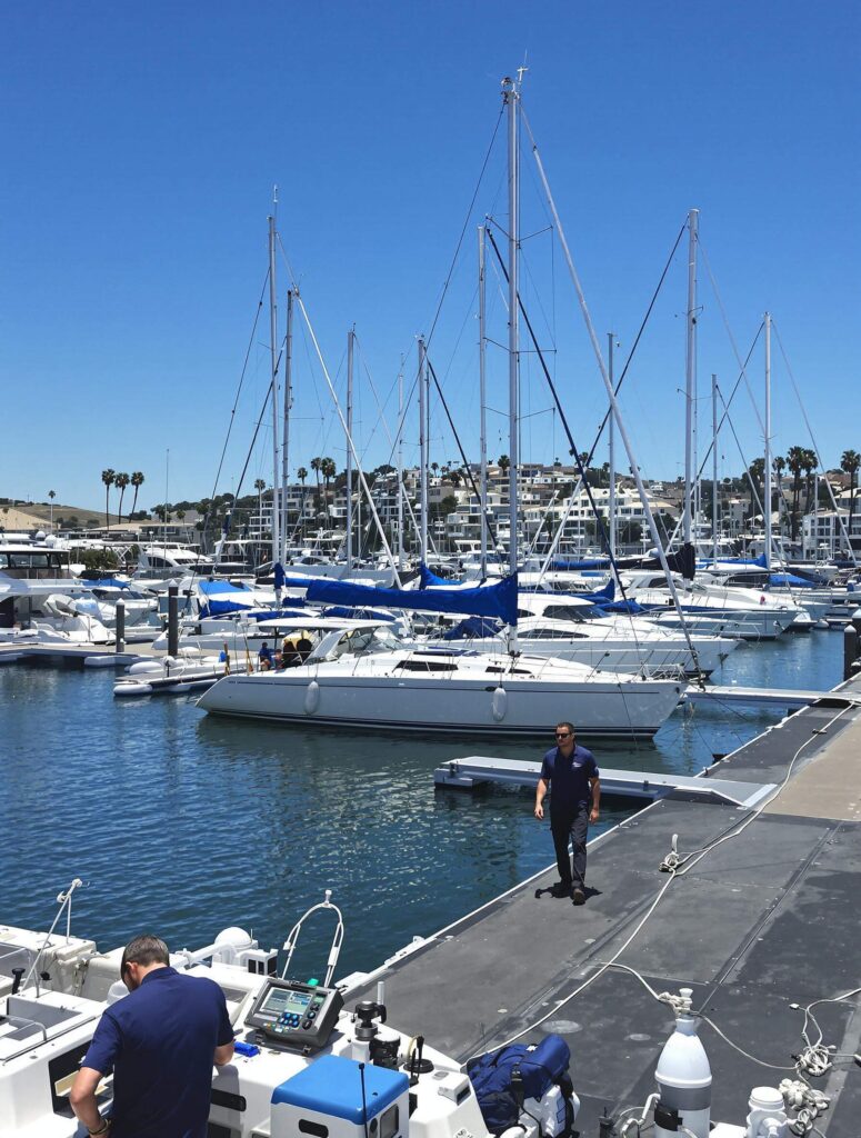 Scenic view of Point Loma Marina, featuring docked sailboats and a calm waterfront setting.