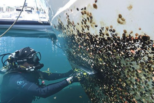 A diver removes barnacles under the hull in deep water. Barnacle Removal and Hull Cleaning enhances speed and fuel efficiency.