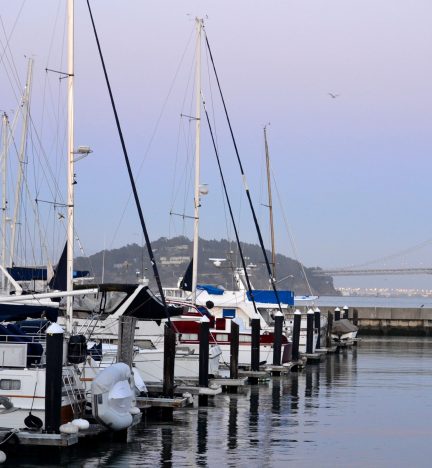 boats-in-the-san-francisco-bay-marina-in-the-eveni-2023-11-27-05-11-17-utc-min